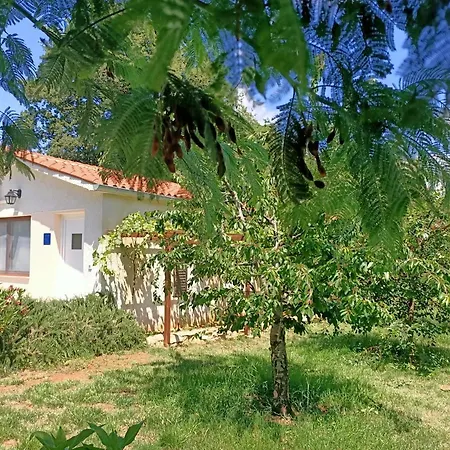 Prázdninový dům Holiday Homes Alara&simba