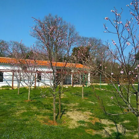 Holiday Homes Alara&simba Valtura