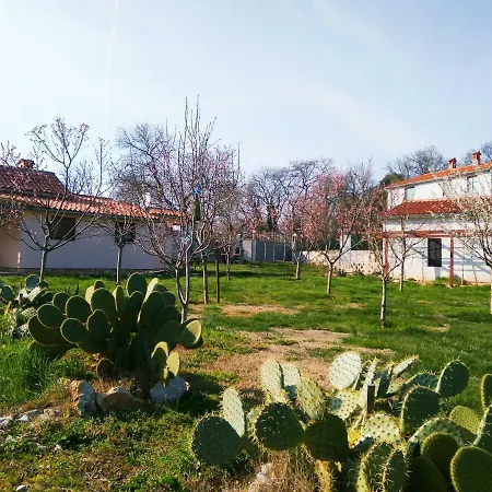 Holiday Homes Alara&simba * Valtura